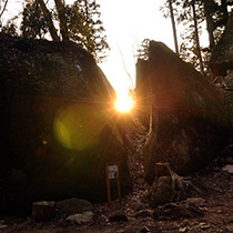 w120_07.jpg