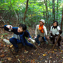 higa_04.jpg
