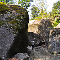 s120_02.jpg